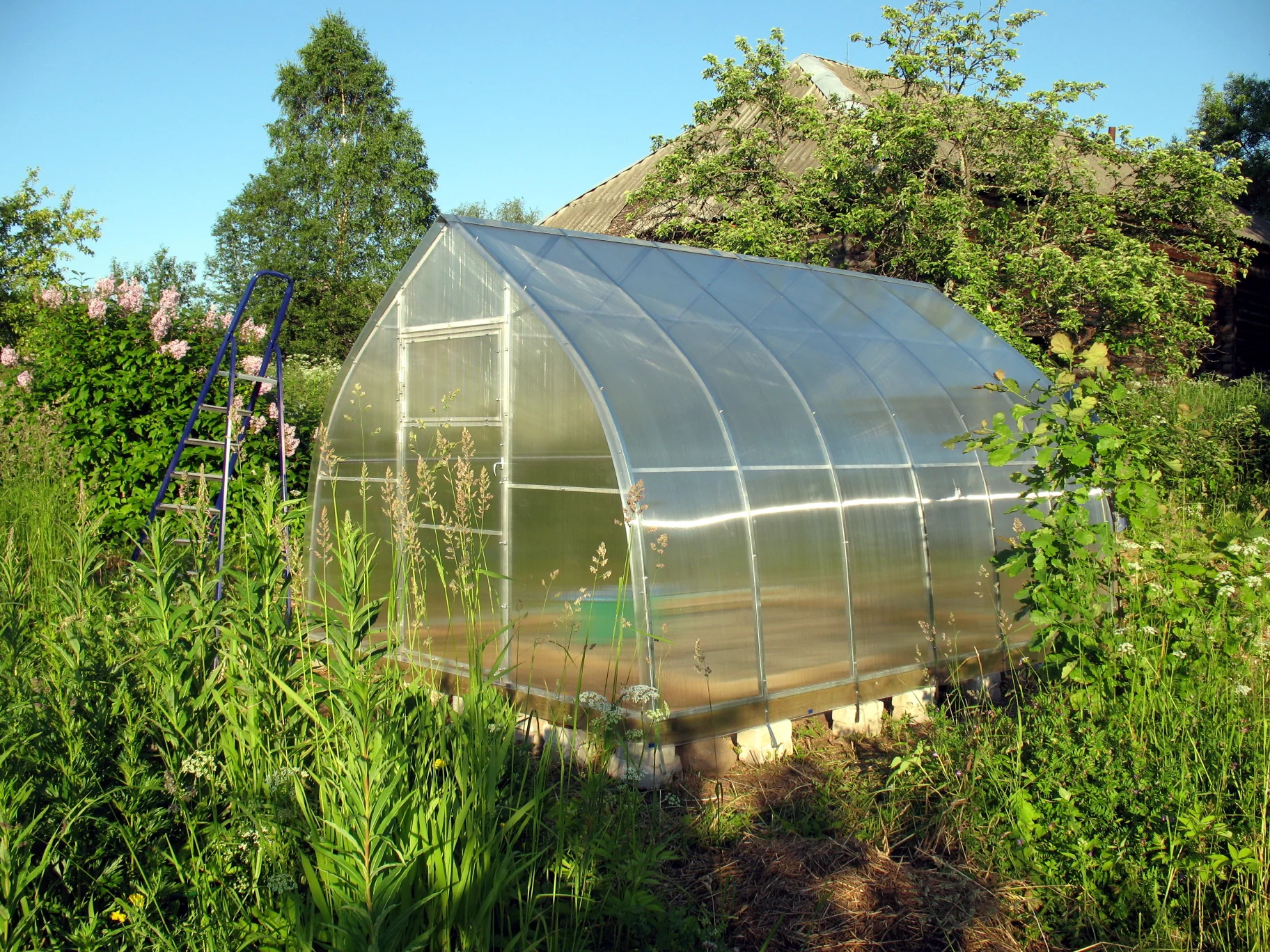 Classic Arch Greenhouse - Image 11