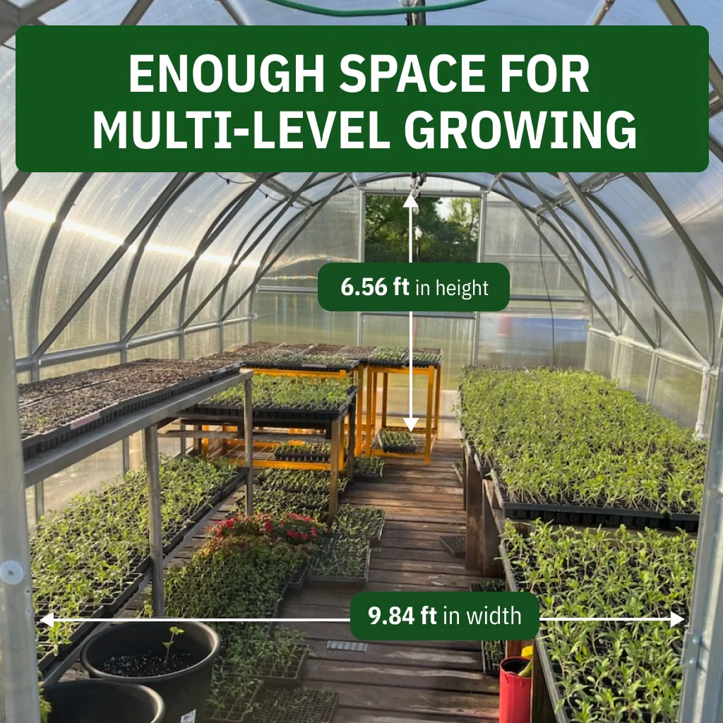 World's Most Popular Polycarbonate Greenhouse - Image 5